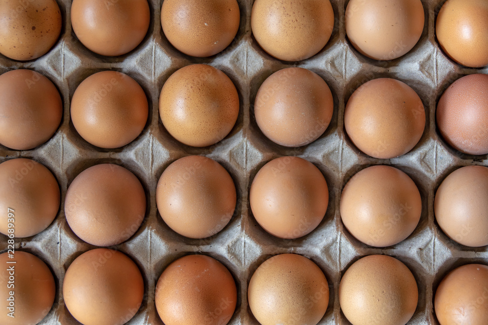 Closeup chicken eggs Closeup chicken eggs