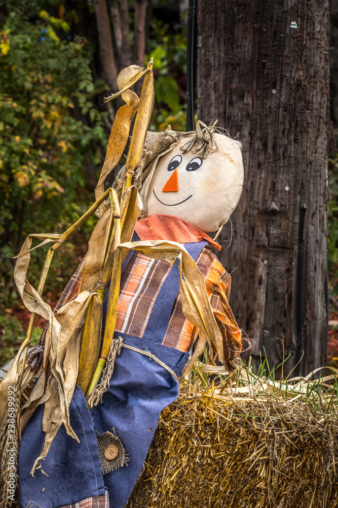 Happy smiling Halloween scarecrow puppet decorations. Happy smiling Halloween scarecrow puppet decorations.