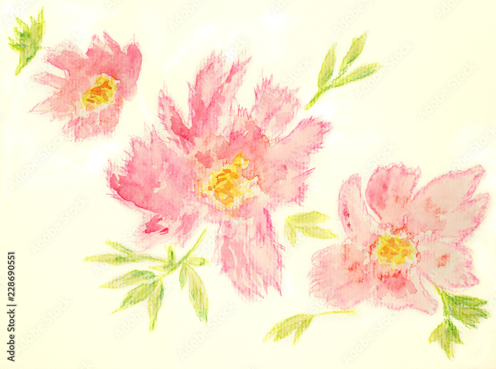 Pink flowers set Watercolor hand drawing isolated on white background Pink flowers set Watercolor hand drawing isolated on white background