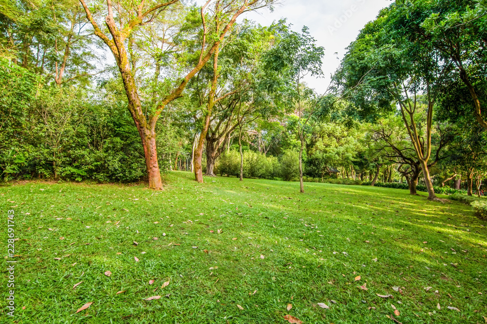 Obraz premium Shenzhen Beacon Hill Park