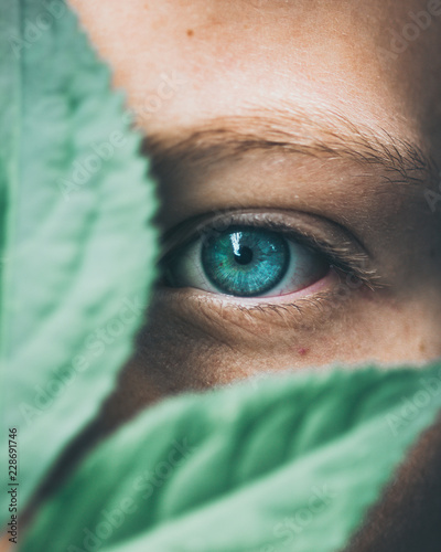 Human behind plants photo