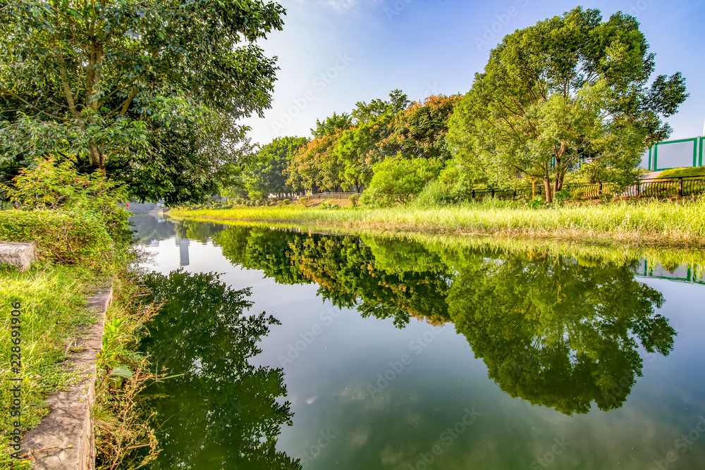Fototapeta premium Shenzhen Beacon Hill Park