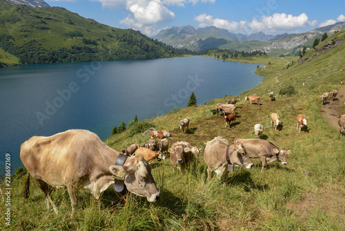 Lake Engstlensee over Engelberg on Switzerland photo