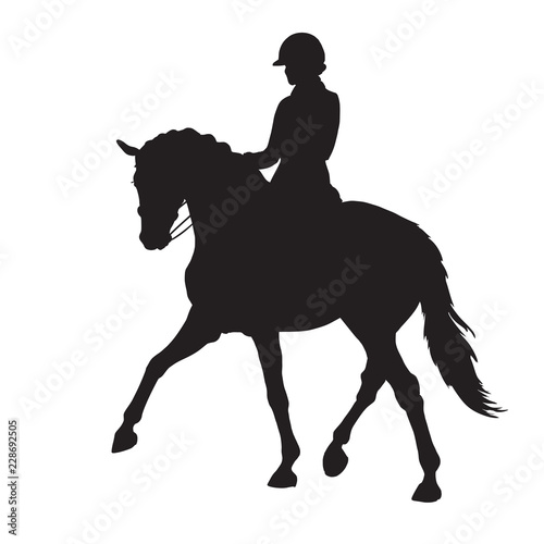 A silhouette of a dressage rider on a horse executing the half pass.