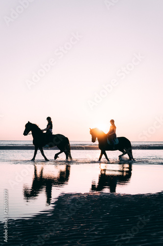 Horses in Water during Sunset