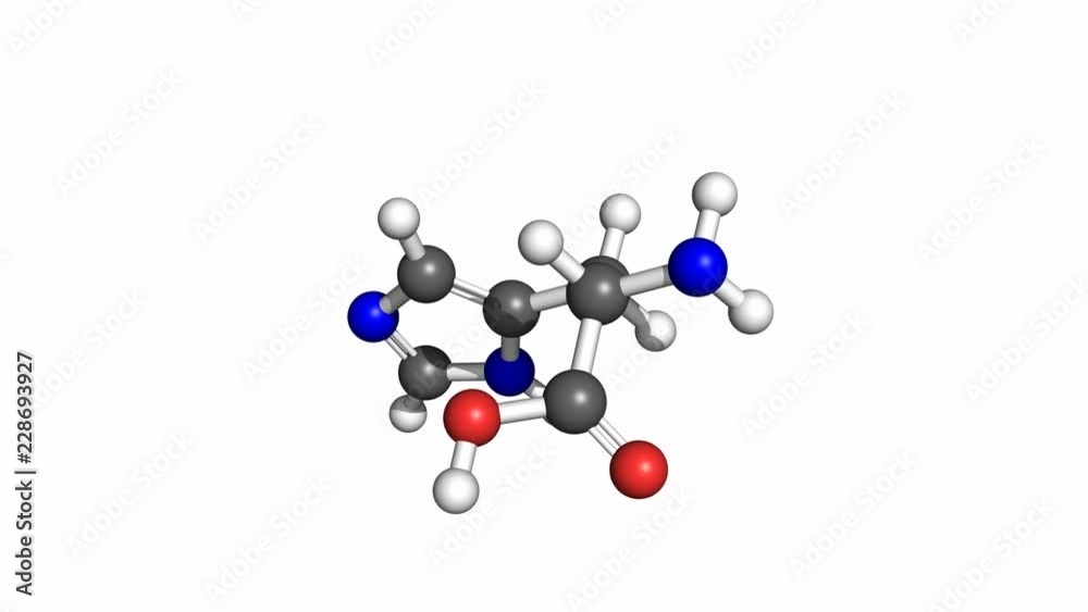 Histidine (amino acid) molecule, conventional coloring. Rotating ball and stick model, seamless loop. Histidine (amino acid) molecule, conventional coloring. Rotating ball and stick model, seamless loop.