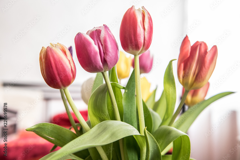 Bunter Tulpenstrauß stehen an einem hellen Platz Bunter Tulpenstrauß stehen an einem hellen Platz