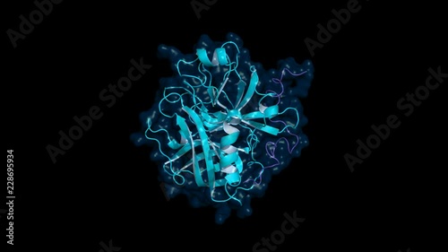 Thrombin is an enzyme active in blood clotting process. Rotating cartoon model with semi-transparent surface, seamless loop photo