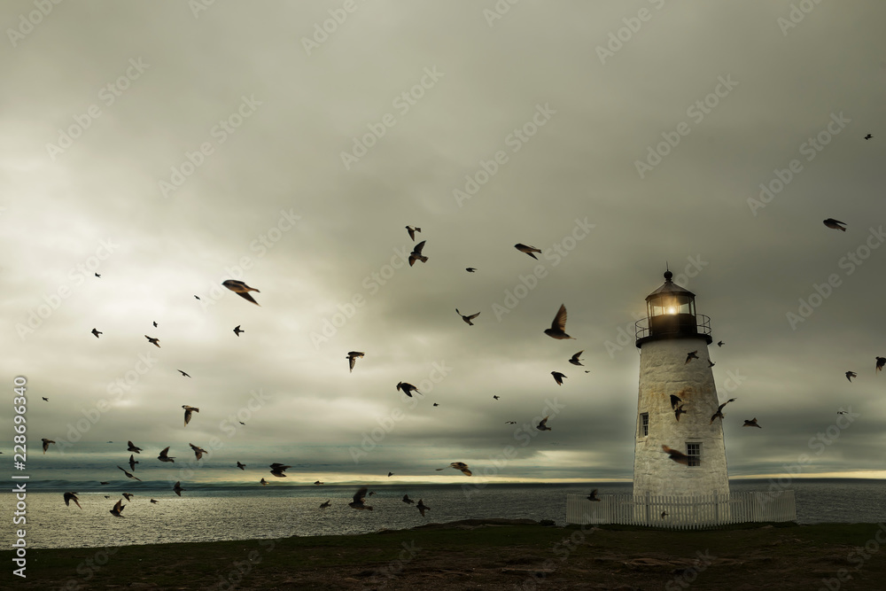Fantastic picture of the lighthouse on the ocean. A flock of birds and a dramatic sky.
