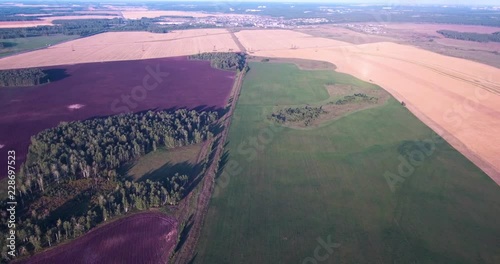 aerial survey of agricultural fields
