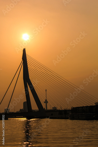 Silhouette of Erasmus Bridge (Erasmusbrug) in Rotterdam pointing to the sun