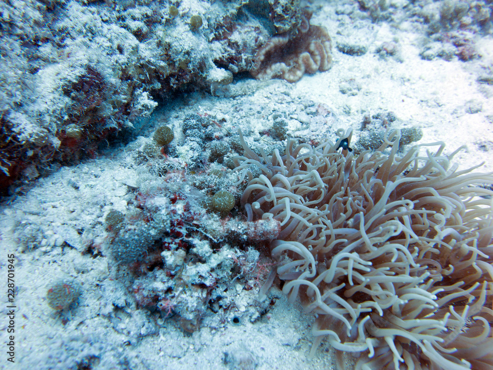 Rotes Meer Rotes Meer