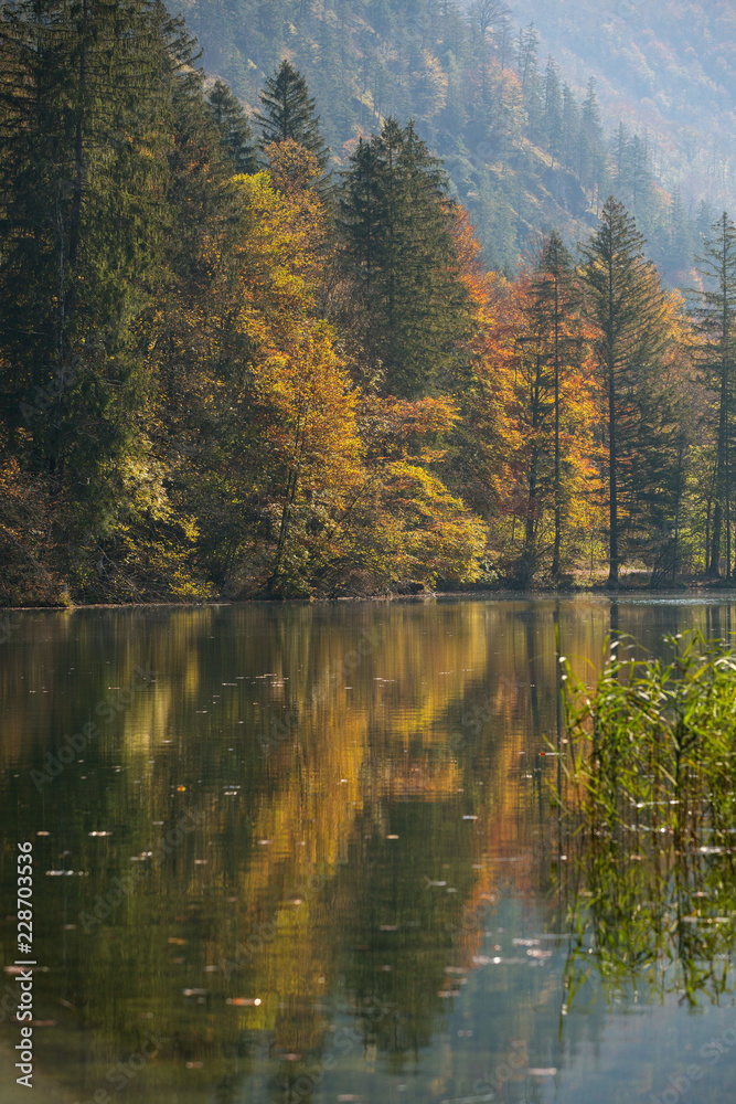 Herbststimmung am Almsee