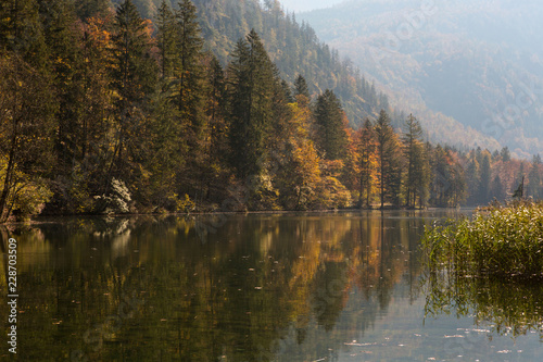 Herbststimmung am Almsee