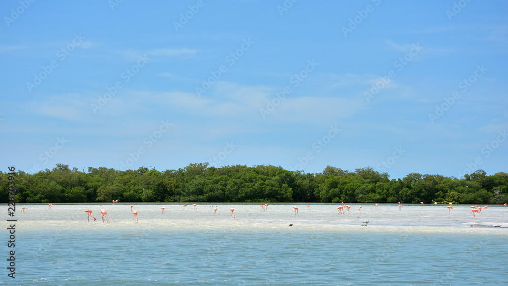 PANORAMA DELL'ISOLA DI HOLBOX IN MESSICO