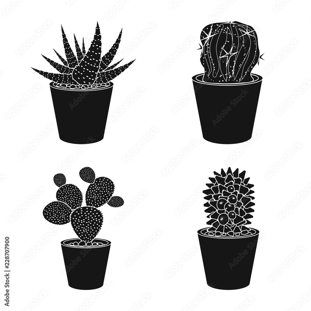 Fototapeta Isolated object of cactus and pot symbol. Collection of cactus and cacti stock vector illustration.