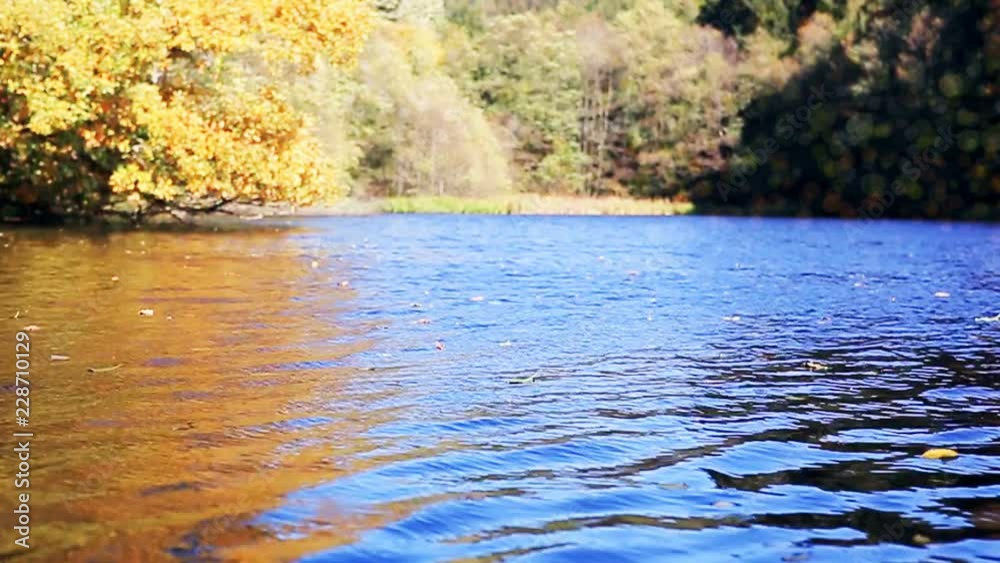 Yellow autumn trees and forest lake. Autumn trees in Germany. Yellow autumn trees and forest lake. Autumn trees in Germany.
