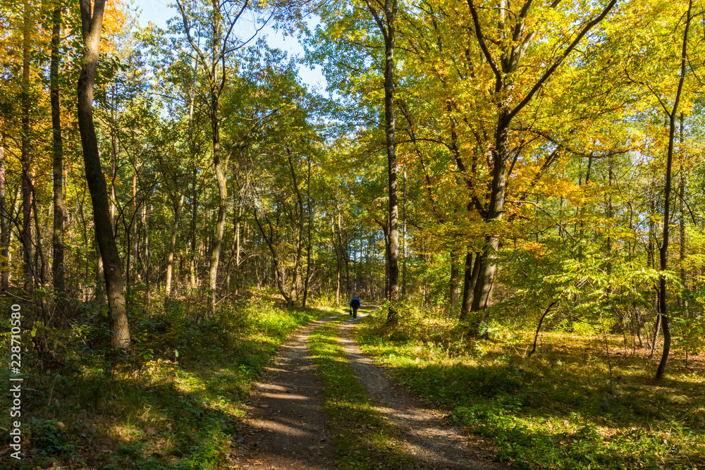 the beginning of the Golden Polish Autumn.