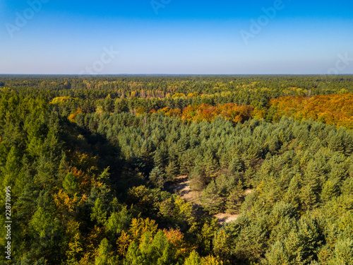 the beginning of the Golden Polish Autumn.