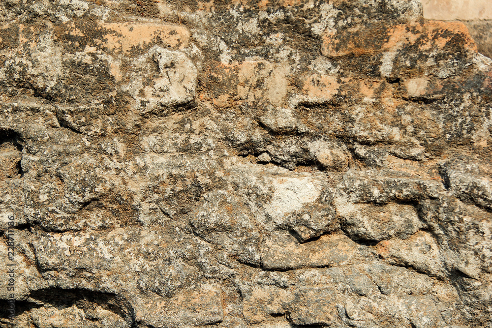 Fototapeta premium cement texture grunge old and dirty