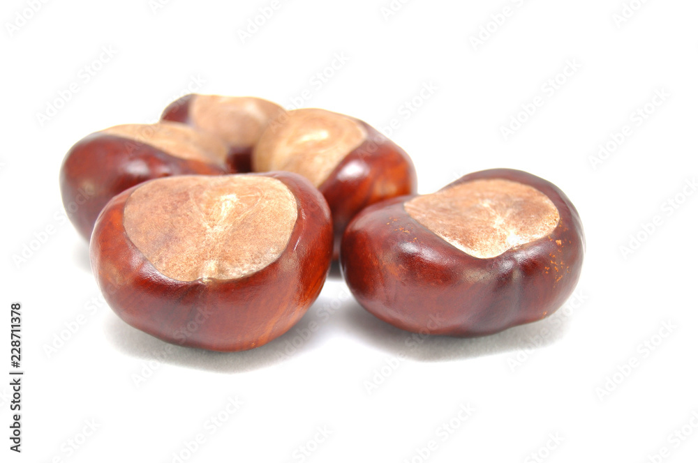 Ripe chestnuts on white background close-up Ripe chestnuts on white background close-up