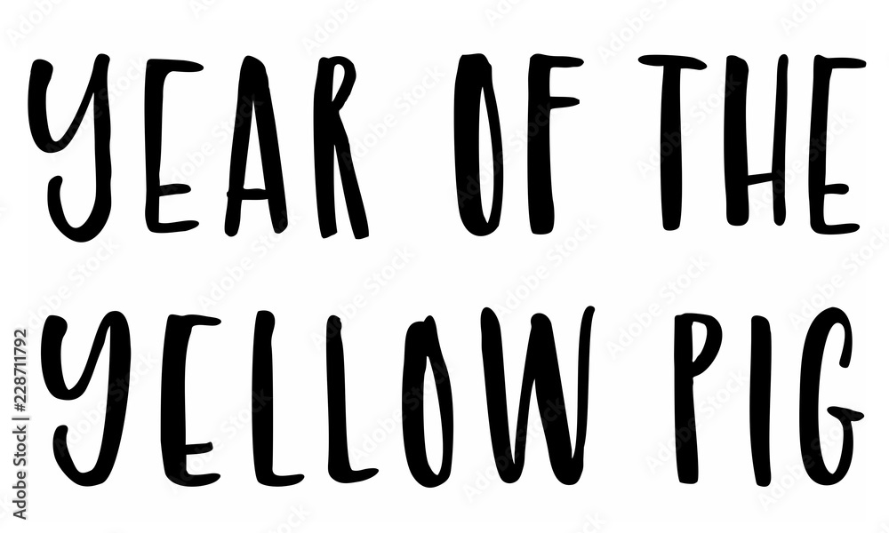 Year of the yellow pig. Handwritten text. Modern calligraphy. Isolated on white Year of the yellow pig. Handwritten text. Modern calligraphy. Isolated on white
