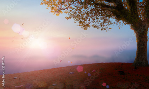 Foto Autumn sunset landscape with a large tree on a hill and falling leaves in a drea