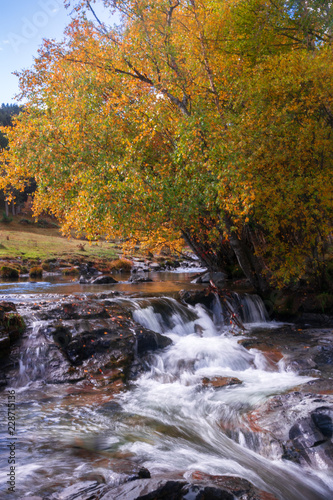 Fototapeta Naklejka Na Ścianę i Meble -  cascadas, saltos de agua y rios en otoño