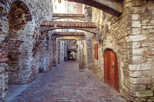 The St Catherine s Passage is historical cobbled street in the old town of Tallinn  Estonia