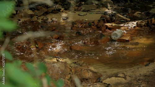 creek in the 