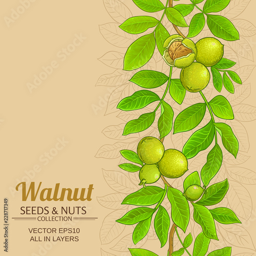 walnut vector background
