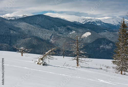 Winter snowy Carpathian mountains, Ukraine photo