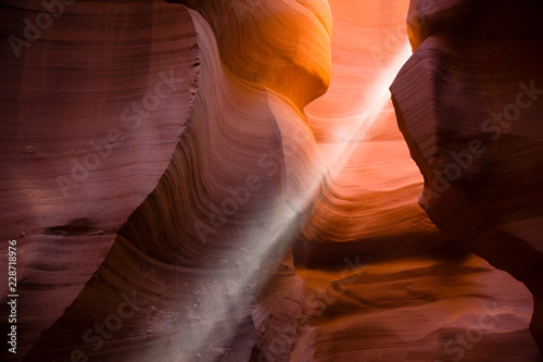 PAGE, AZ, USA Shafts of light shining through Lower Antelope Canyon.