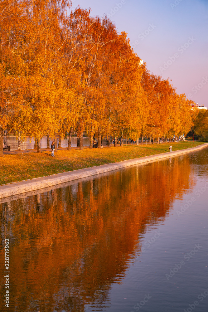 autumn in the park autumn in the park