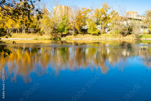 riverbank in urban park in sunny autumn day