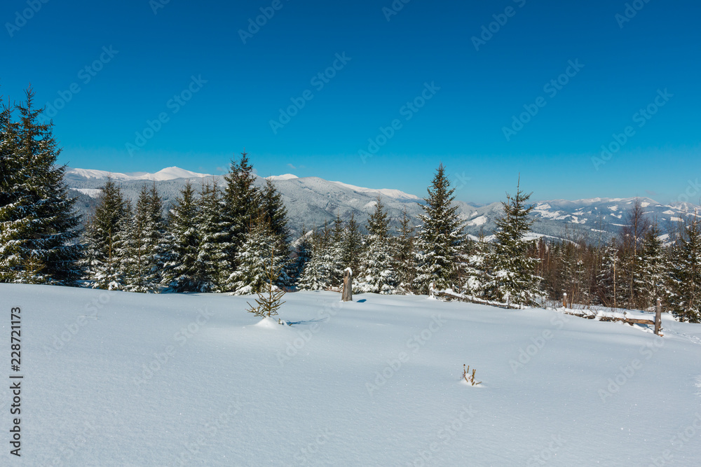 Winter snowy Carpathian mountains, Ukraine Winter snowy Carpathian mountains, Ukraine