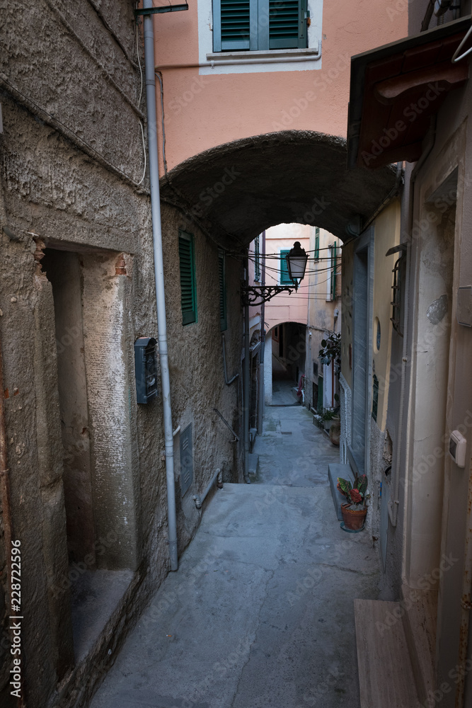 Narrow street of the Manarola village Italy