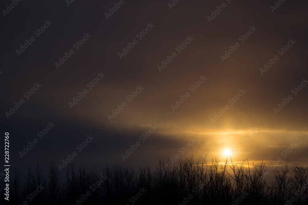 Fototapeta premium GEYSIR, ICELAND Winter sun emerging through clouds above bare trees.