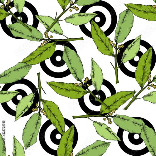 Vector green laurus leaf. Leaf plant botanical garden floral foliage. Seamless background pattern. Fabric wallpaper print texture. Vector leaf for background, texture, wrapper pattern, frame.