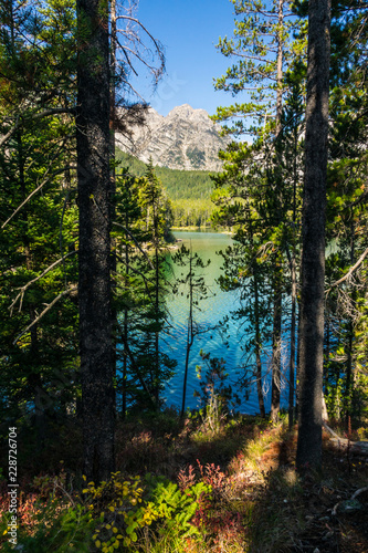 Leigh Lake trail Grand Teton National Park Wyoming