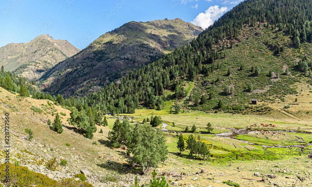Beautiful Landscape in the High Pyrenees in Pallars Sobira, Catalonia