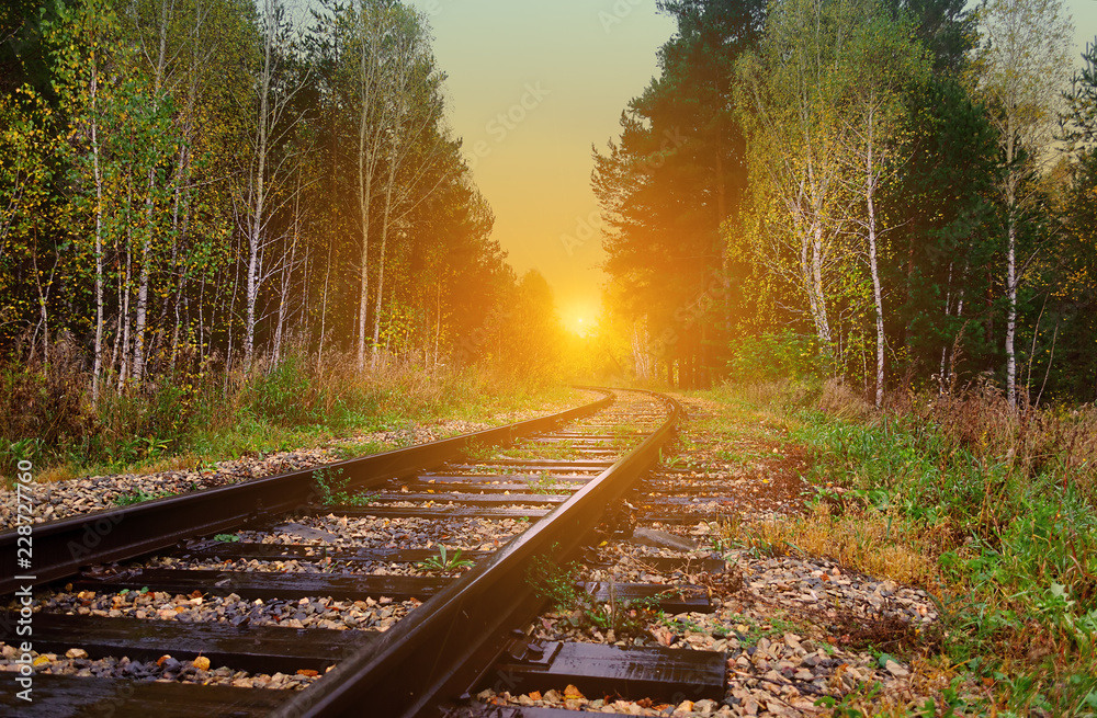 old railroad passes through a picturesque autumn forest with yellow foliage at sunset lit by the rays of the sun
