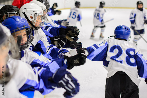Sport for Kids. Young ice hockey players.
