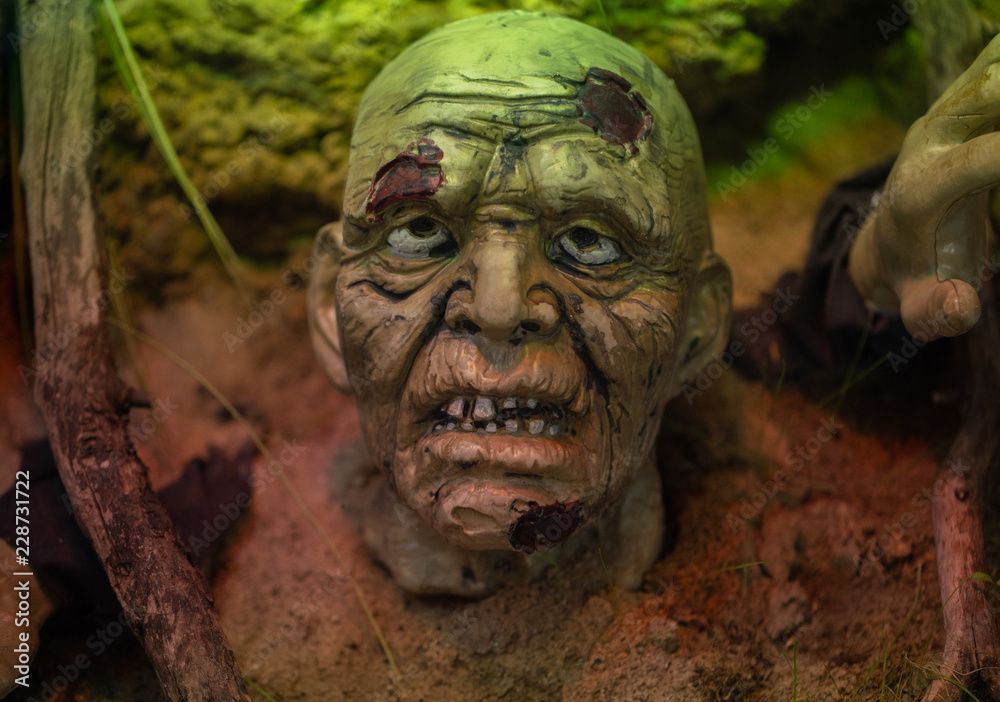 zombie head is looking at you zombie head is looking at you
