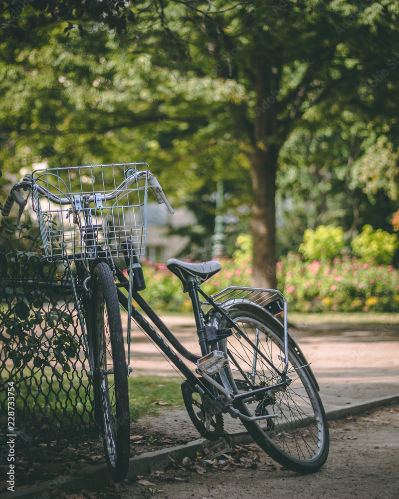 Fototapeta premium Dumped_bicycle