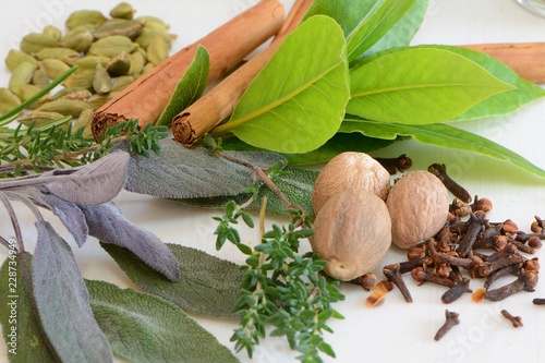 selection of fresh herbs and dried spices.