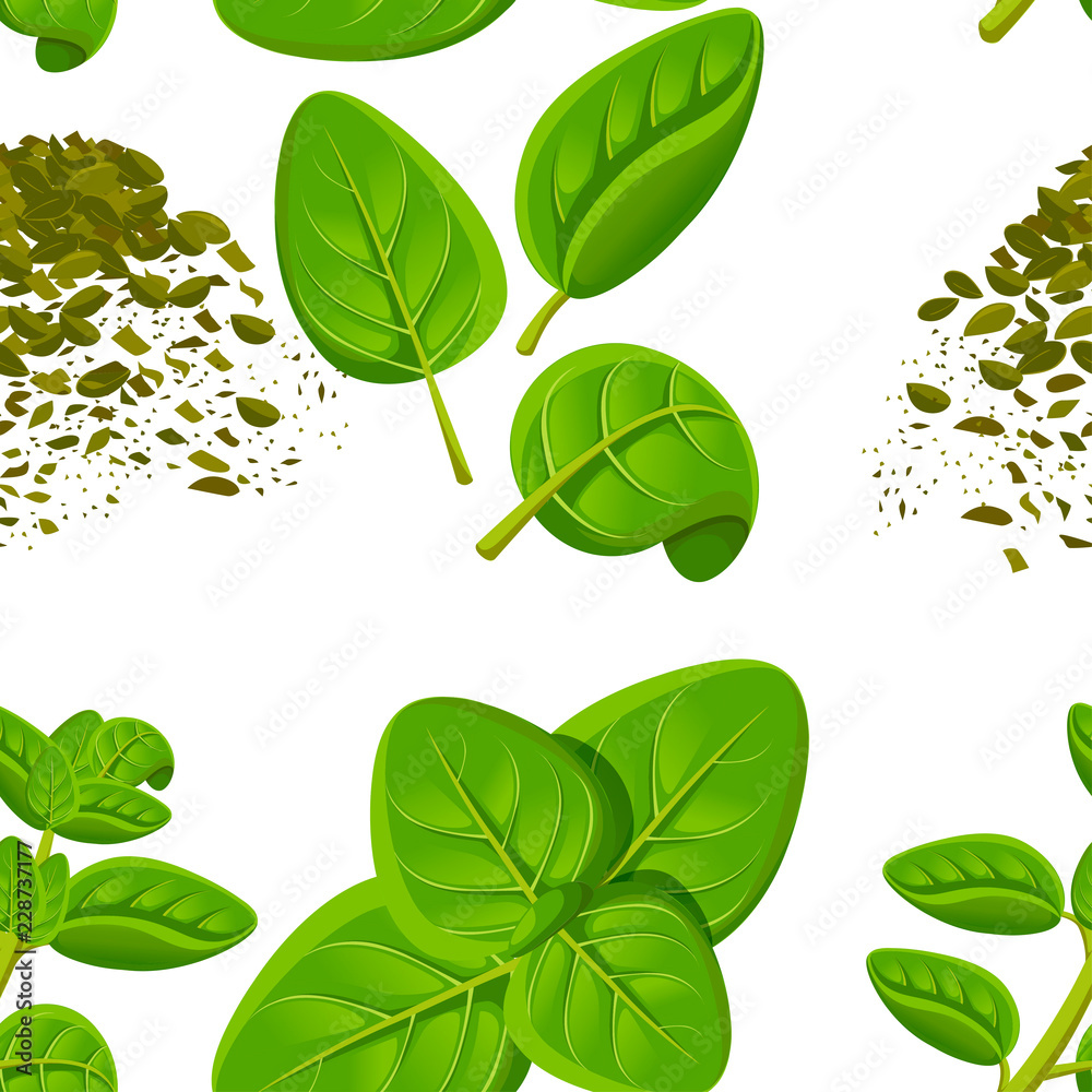 Seamless pattern. Oregano plant with leaves. Herbal engraved style illustration. Detailed organic product sketch. Cooking spicy ingredient. Flat vector illustration
