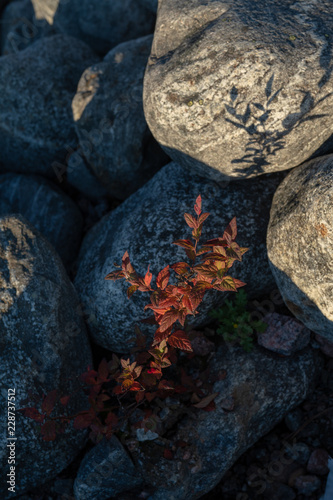Struglling through the rough ground