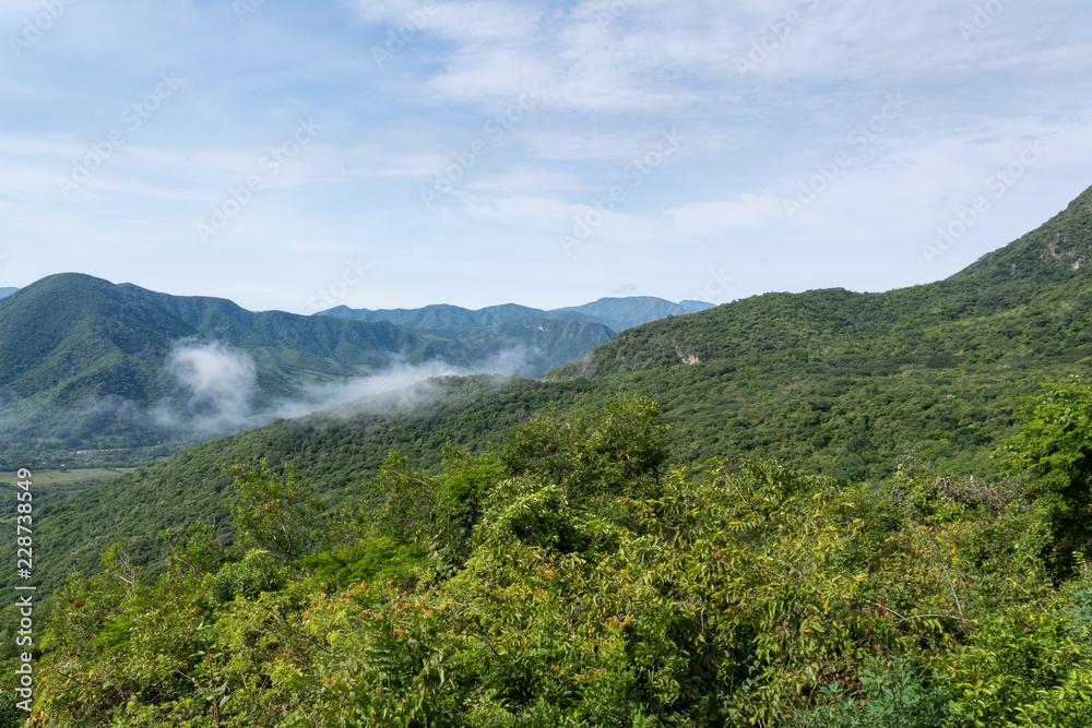 Fototapeta premium campo cuatro