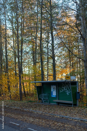 Busstop by the forest
